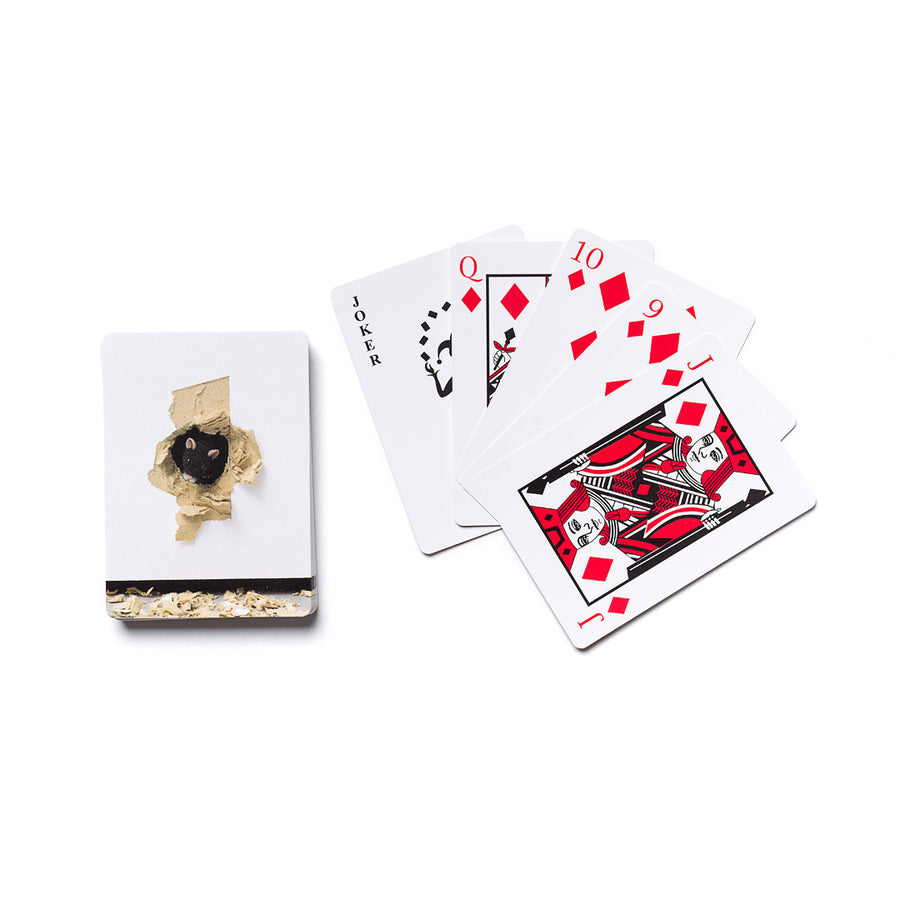 Playing Cards - Ryan Gander, The End