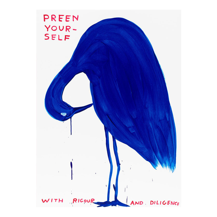 David Shrigley Limited Edition Print - Preen Yourself