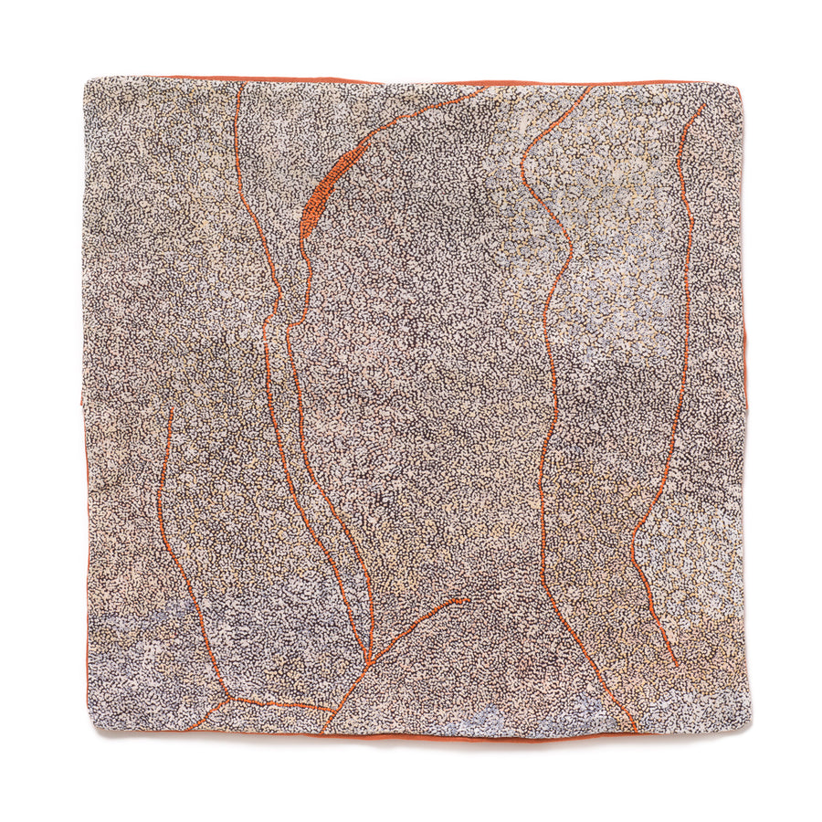 Cushion Cover – Rene Sundown, Ngura Tali - Sand Dune Country