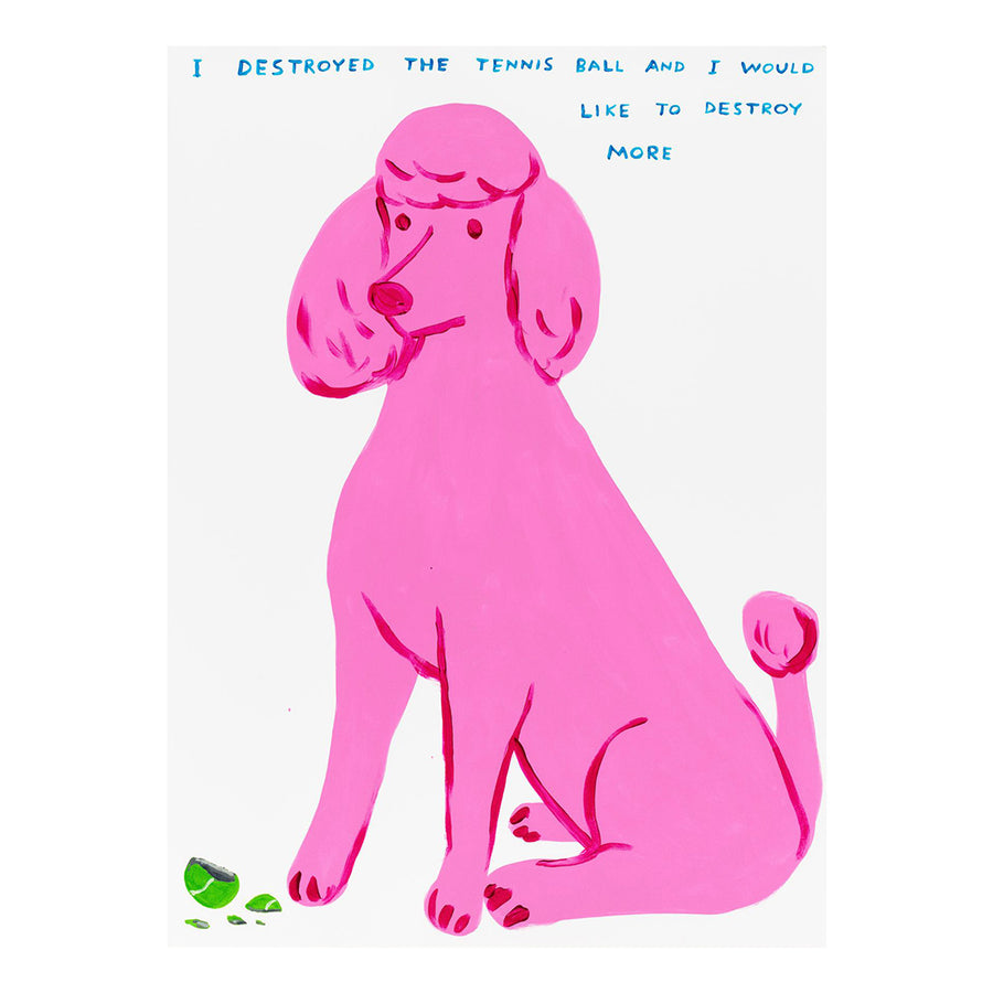David Shrigley Limited Edition Print - I Destroyed The Tennis Ball