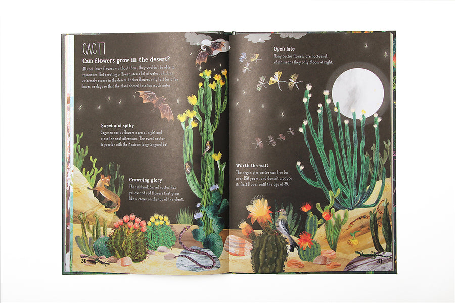 Big Book of Blooms - Yuval Zommer