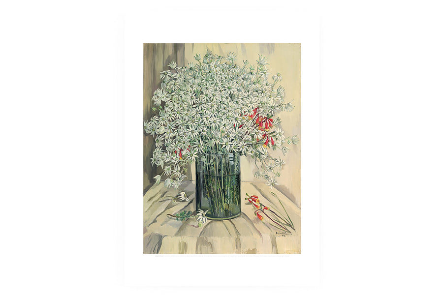 Poster - Margaret Preston, Flannel Flowers