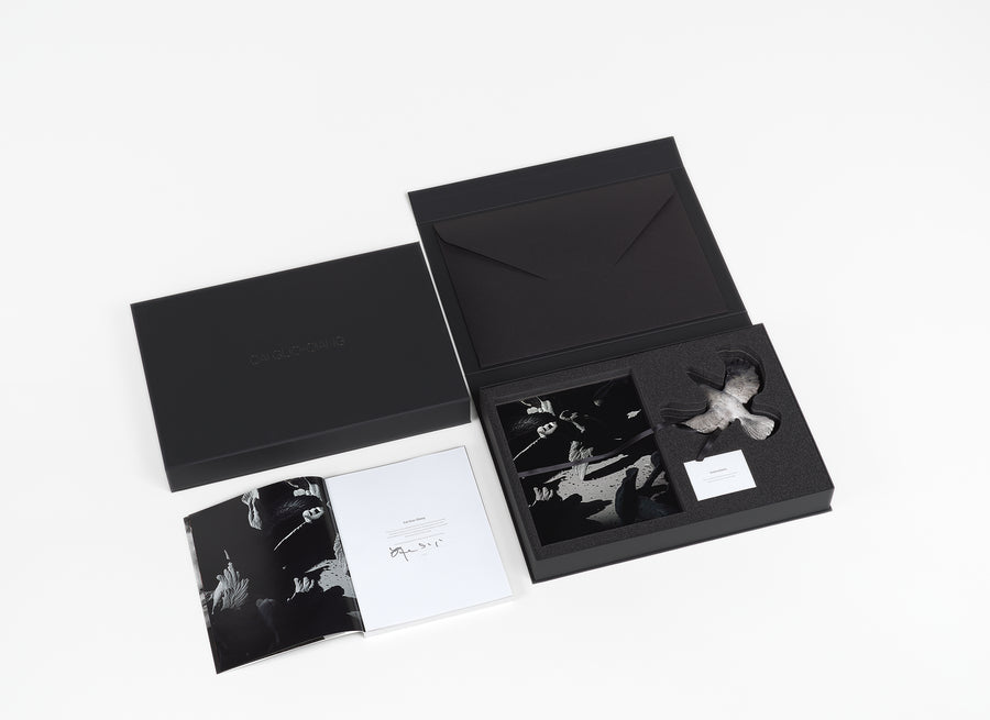 NGV Limited Edition - Cai Guo-Qiang Murmuration Box