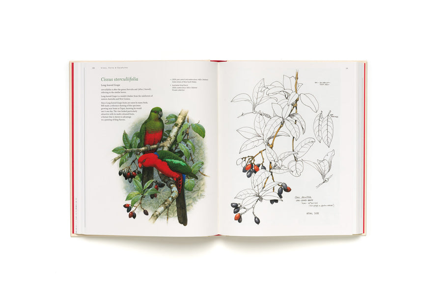 Botanical Art of William T. Cooper - Wendy Cooper