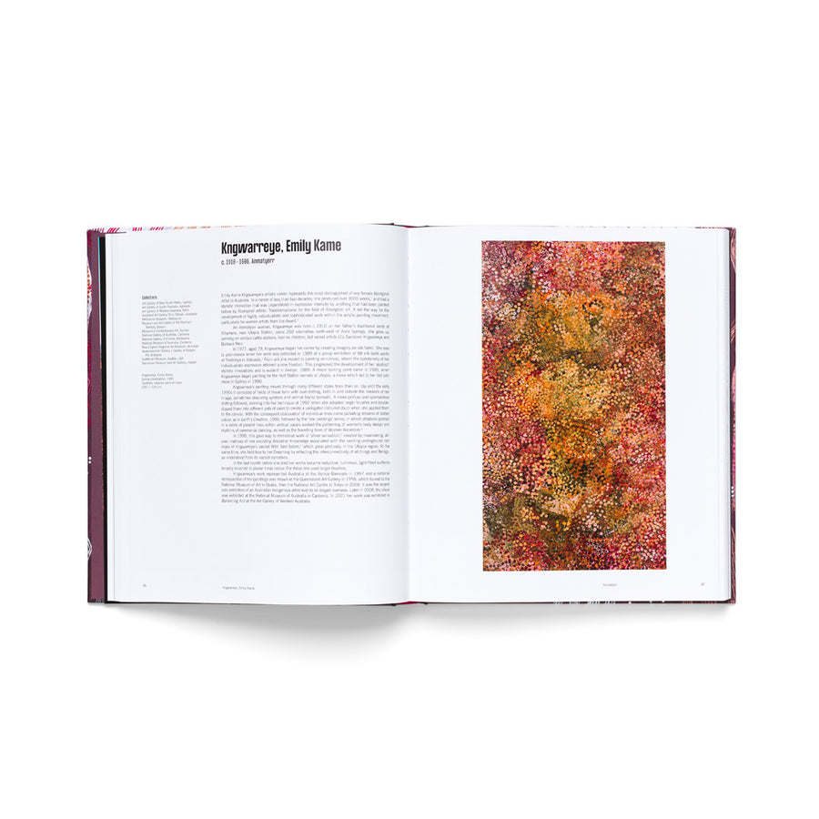 Dreaming the Land: Aboriginal Art from Remote Australia - Marie Geissler